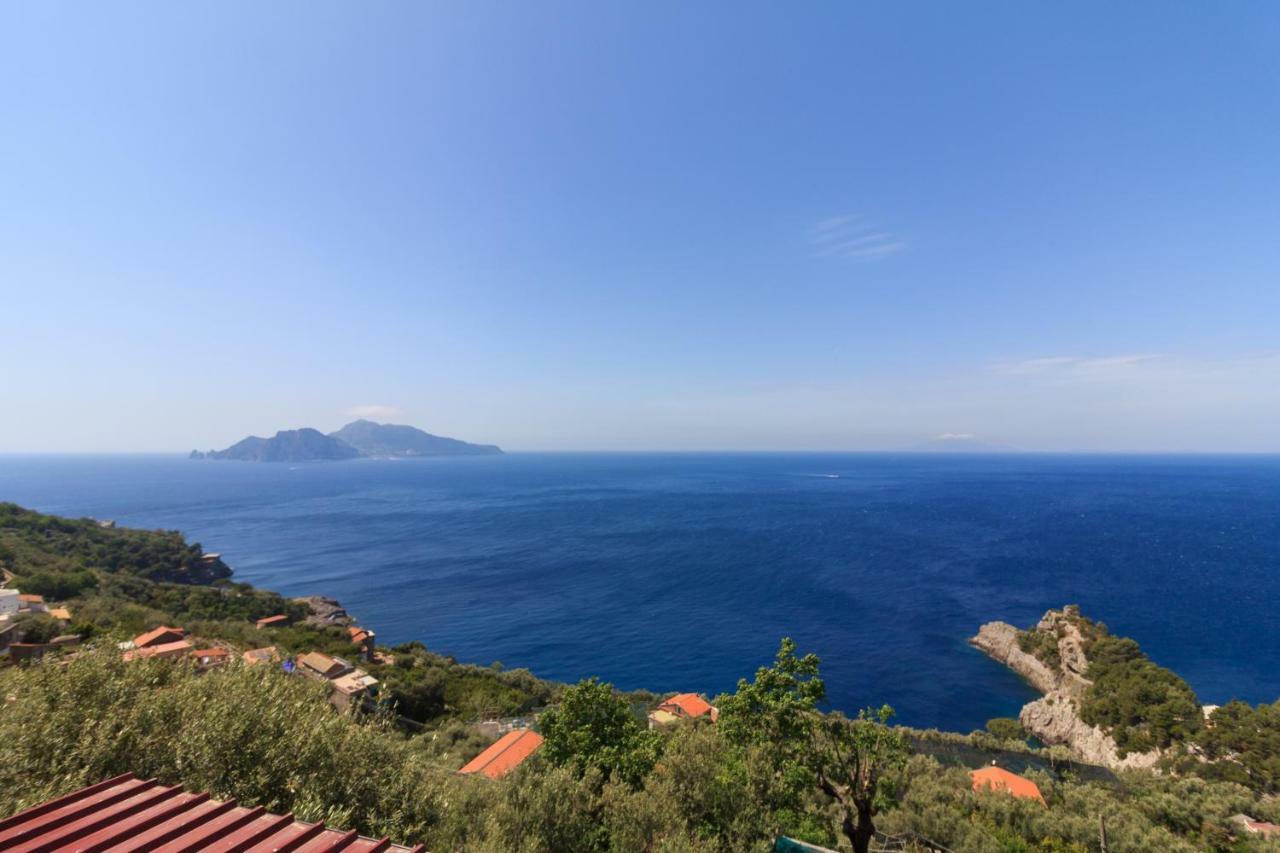 マッサ・ルブレンセ Villino Capri Coastヴィラ エクステリア 写真