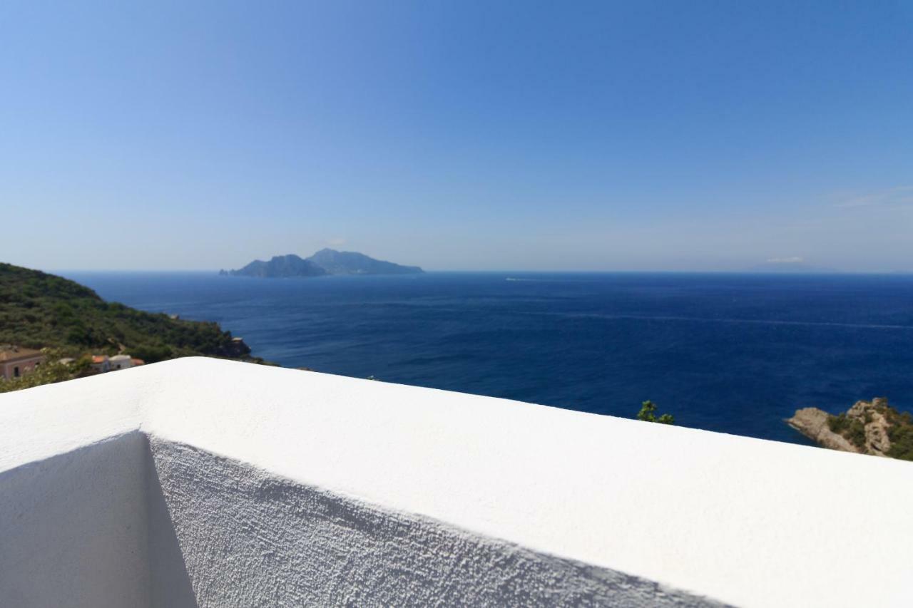 マッサ・ルブレンセ Villino Capri Coastヴィラ エクステリア 写真